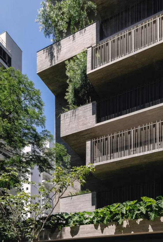 Captura-de-tela-2025-08-18-115602.png